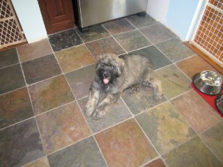 Grady at home